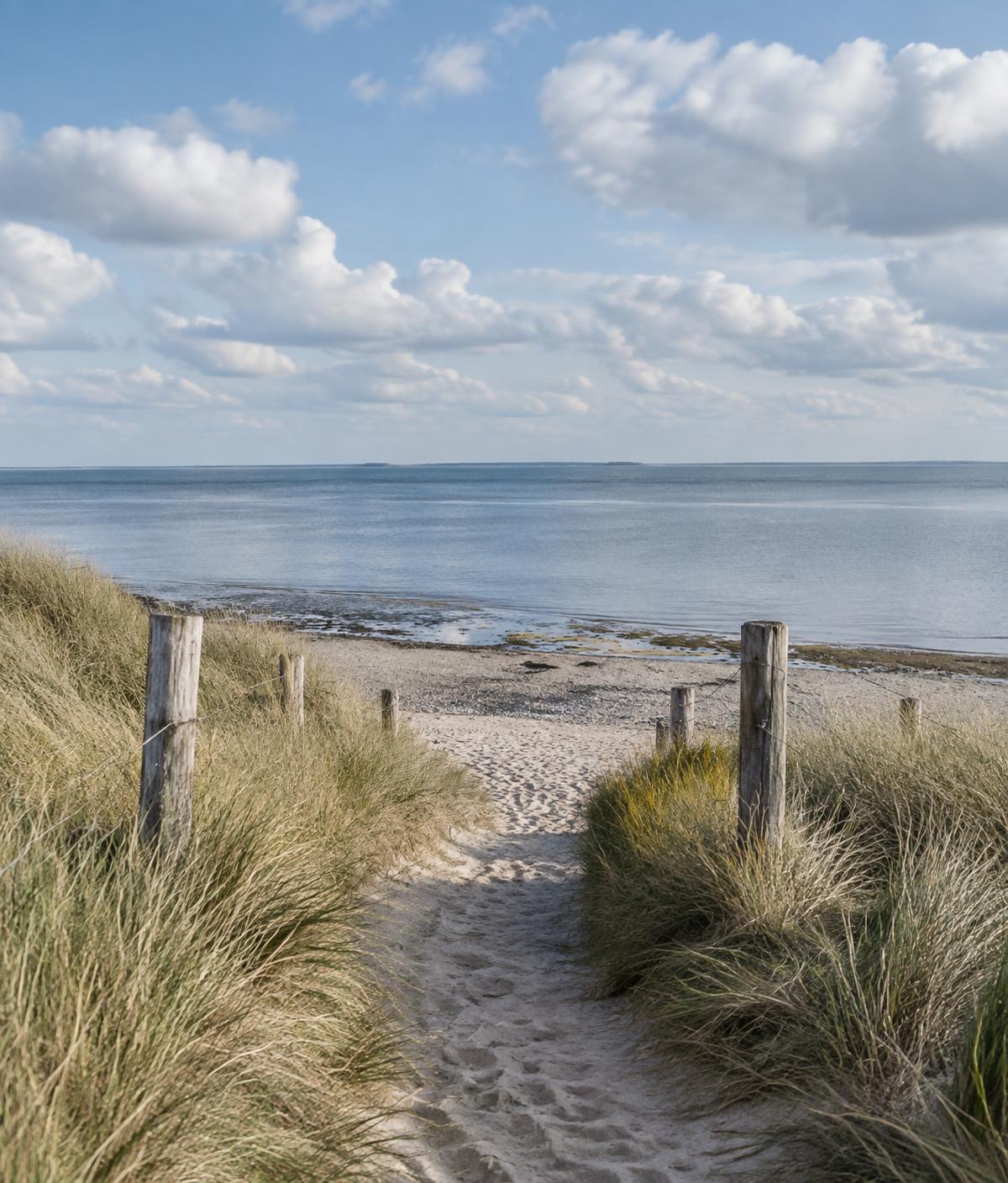 Een pad door de duinen naar het water